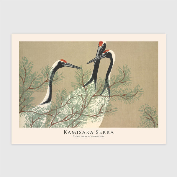 Tsuru (Daru), a Momoyo-gusa II. kötetéből