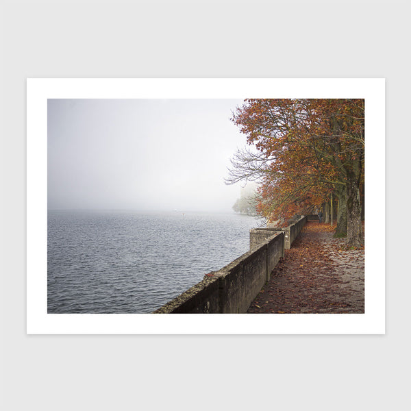 Ködös nap, vörös-narancs lombú fák