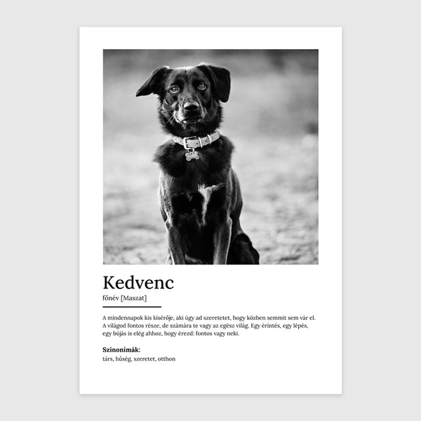 Kedvenc (Definíció)